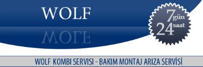 Kordonboyu Wolf Kombi Servisi 0216 309 4025