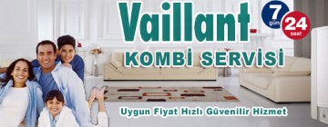 Gülsuyu Vaillant Kombi Servisi 0216 309 4025