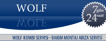 Maltepe Wolf Kombi Servisi 0216 309 4025