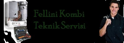 Örnek Fellini Kombi Servisi 0216 309 4025